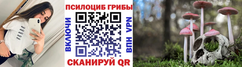 Псилоцибиновые грибы Magic Shrooms  Хотьково 